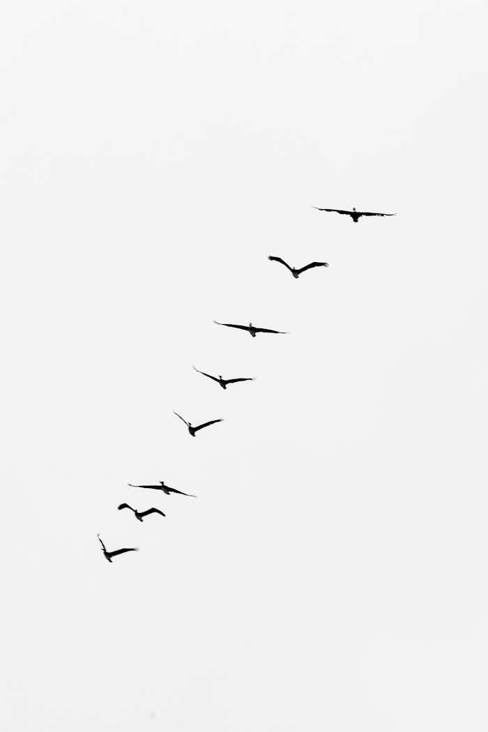 creative-02